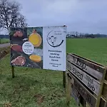 Tatil Evi Hottub - Wellnesshuisje - Bos - Oudveluwe Voorthuizen