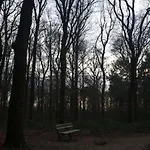 Hottub - Wellnesshuisje - Bos - Oudveluwe Tatil Evi Voorthuizen