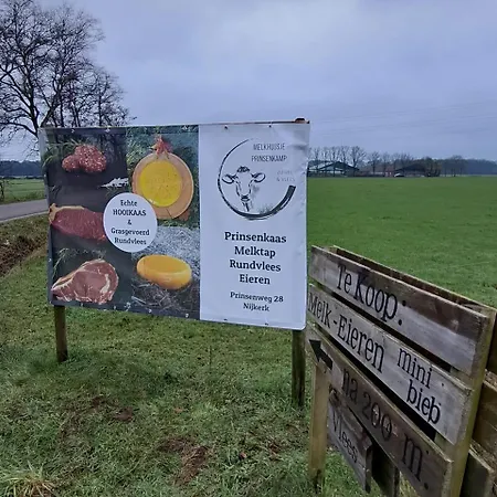 Nyaraló Hottub - Wellnesshuisje - Bos - Oudveluwe Voorthuizen