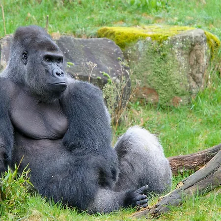 Hottub - Wellnesshuisje - Bos - Oudveluwe *