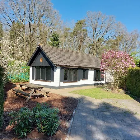 Hottub - Wellnesshuisje - Bos - Oudveluwe