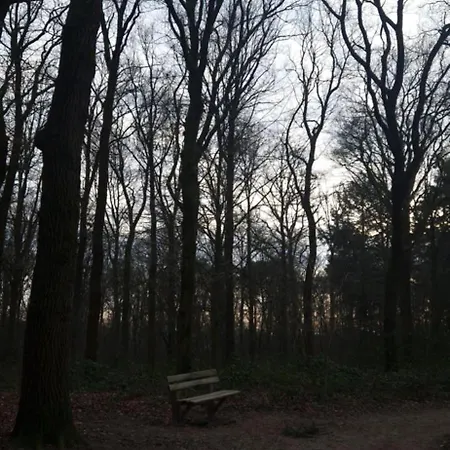 Hottub - Wellnesshuisje - Bos - Oudveluwe Holiday home Voorthuizen