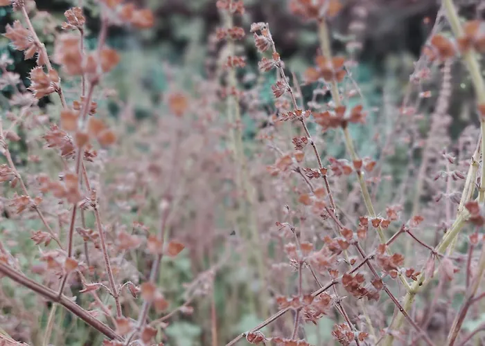 Hottub - Wellnesshuisje - Bos - Oudveluwe 度假居 *