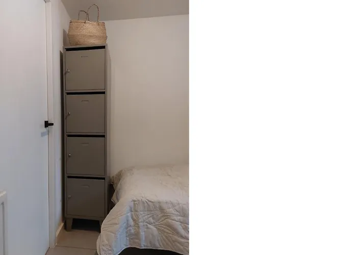 Hottub - Wellnesshuisje - Bos - Oudveluwe