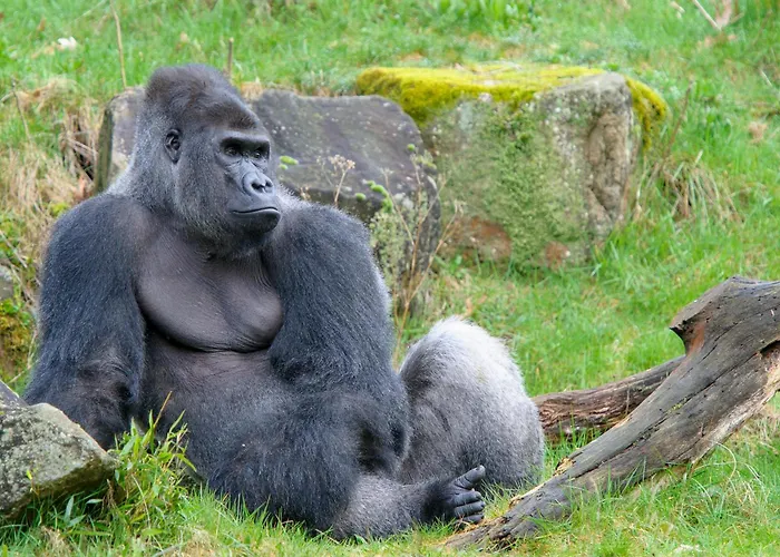 Hottub - Wellnesshuisje - Bos - Oudveluwe *