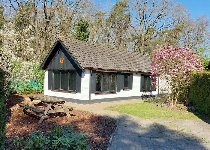 Hottub - Wellnesshuisje - Bos - Oudveluwe