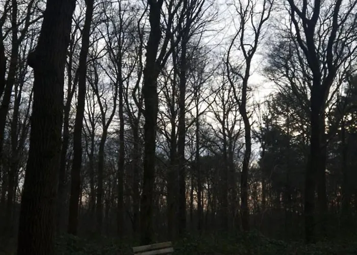 Hottub - Wellnesshuisje - Bos - Oudveluwe 度假居 福尔特赫伊曾