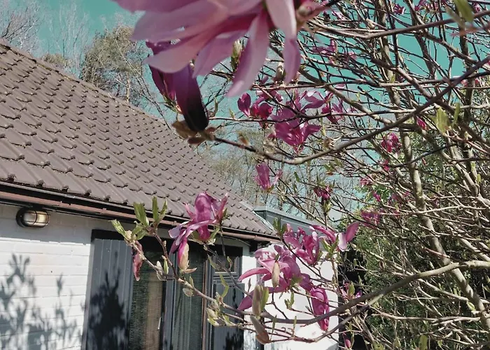 Hottub - Wellnesshuisje - Bos - Oudveluwe *