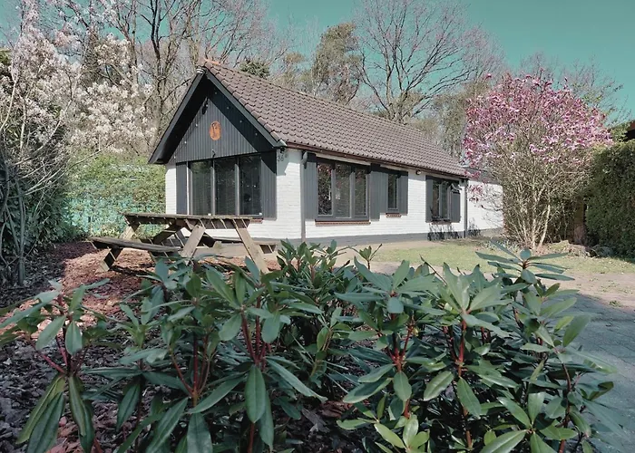 Сasa de vacaciones Hottub - Wellnesshuisje - Bos - Oudveluwe *