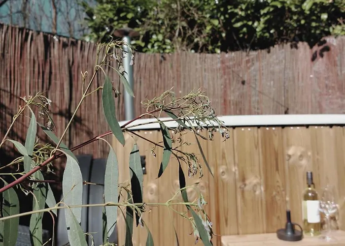 度假居 Hottub - Wellnesshuisje - Bos - Oudveluwe 福尔特赫伊曾