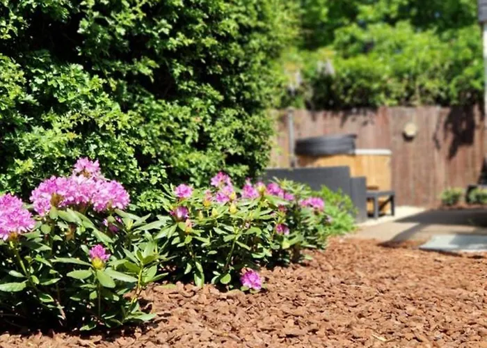 Hottub - Wellnesshuisje - Bos - Oudveluwe Сasa de vacaciones