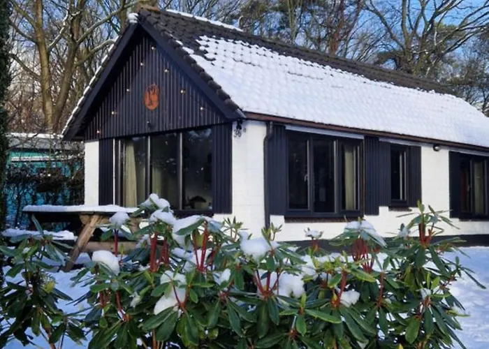 Hottub - Wellnesshuisje - Bos - Oudveluwe 度假居 福尔特赫伊曾