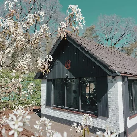 Tatil Evi Hottub - Wellnesshuisje - Bos - Oudveluwe